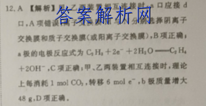׵ӢŴ ѧ2023¿Ծ()2ͼƬ