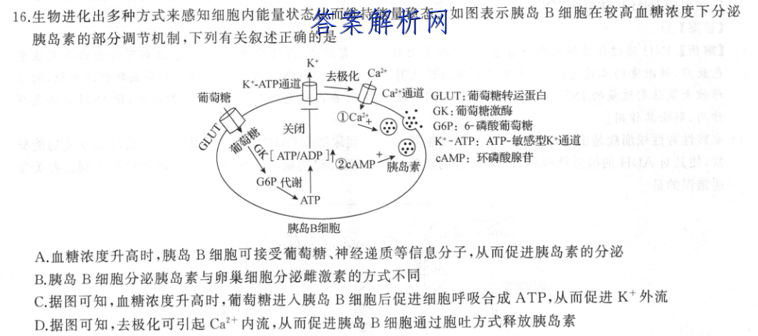 2022-2023ˮ ߶ͬܲ ½̲¸߿(˽̰)/Ӣ()7ͼƬ