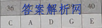 2023ǻϽ ߿Ӧۺϼ¿()2ӢͼƬ