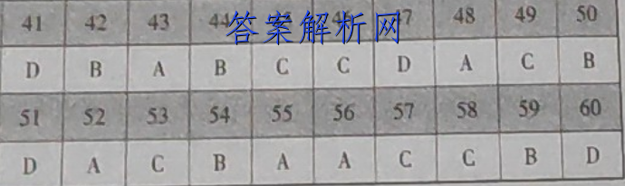 2023ǻϽ ߿Ӧۺϼ¿()2ӢͼƬ