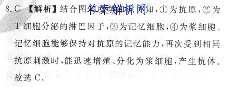image.png@!test