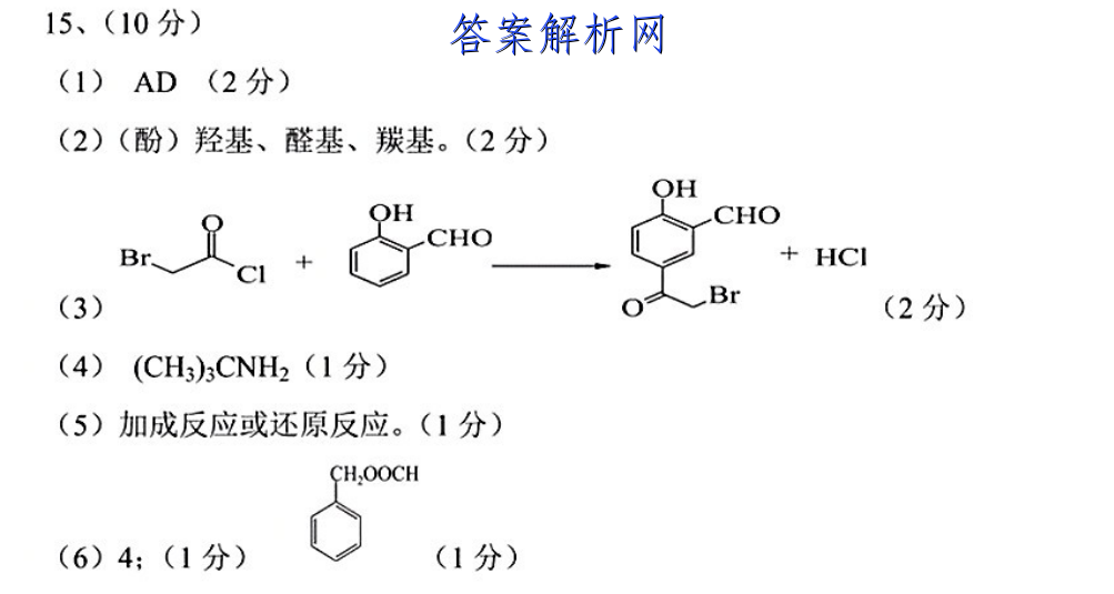 名校之约 2023届高三分科模拟检测卷4语文 考卷答案 职业教育 第2张