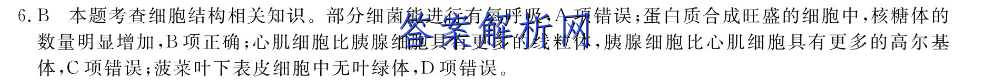 Уʦ2023ͨи߿ģϢLL(2)Ծ()ͼƬ