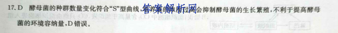 ʦ 2022-2023ѧ12ӢLͼƬ