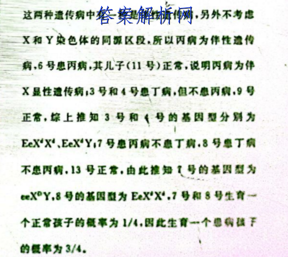 2023ȫͨߵѧУͳһ JYģ()3ӢԾ ()ͼƬ