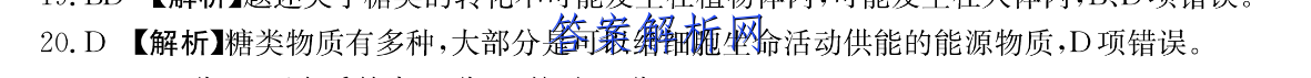 2023꼶²˫ﱨӢ29ڴͼƬ