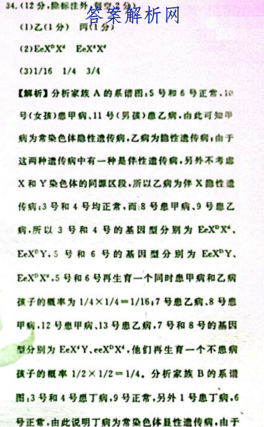 2023ȫͨߵѧУͳһ JYģ()3ӢԾ ()ͼƬ