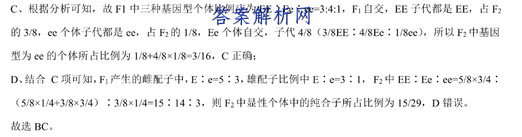 ʡ2023꼶׶() 3L RӢͼƬ