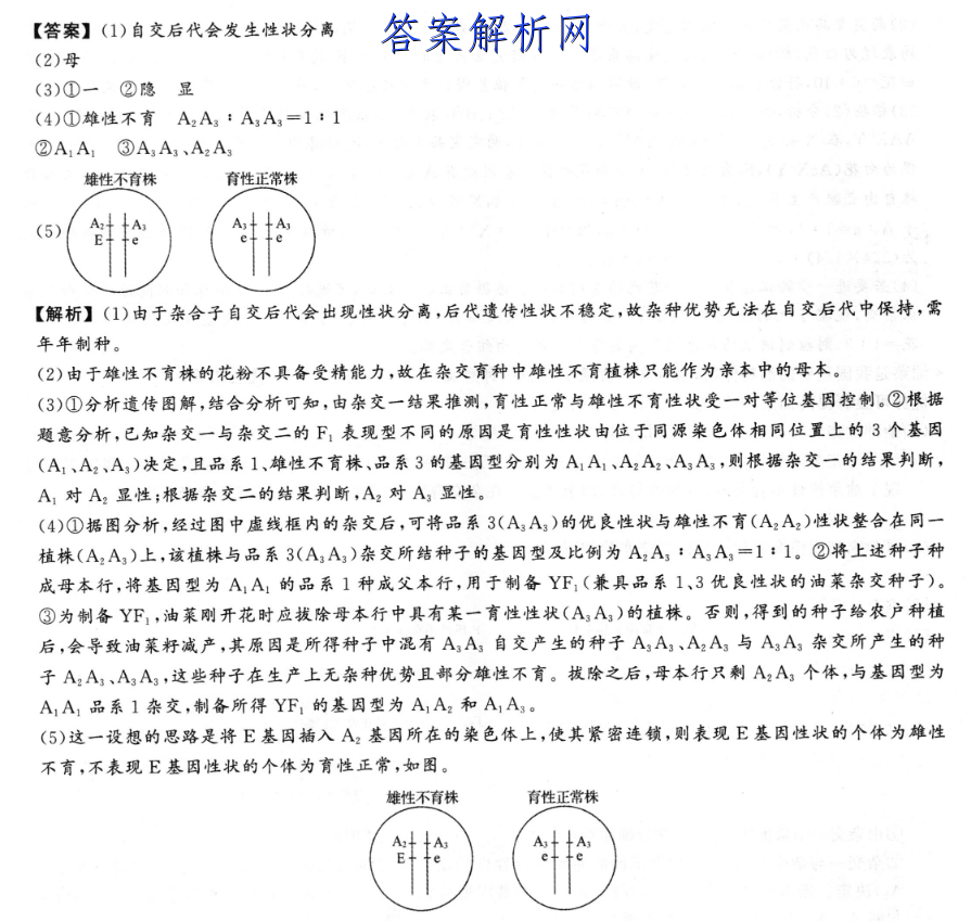 衡水金卷先享题 2023届调研卷 语文(新教材YW)(三)3答案 职业教育 第4张