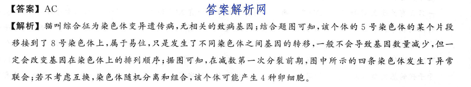 衡水金卷先享题 2023届调研卷 语文(新高考)(三)3答案 职业教育 第2张