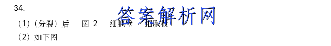 2022-2023学年云南省高一期末模拟考试(23-211A)历史试卷答案 职业教育 第2张