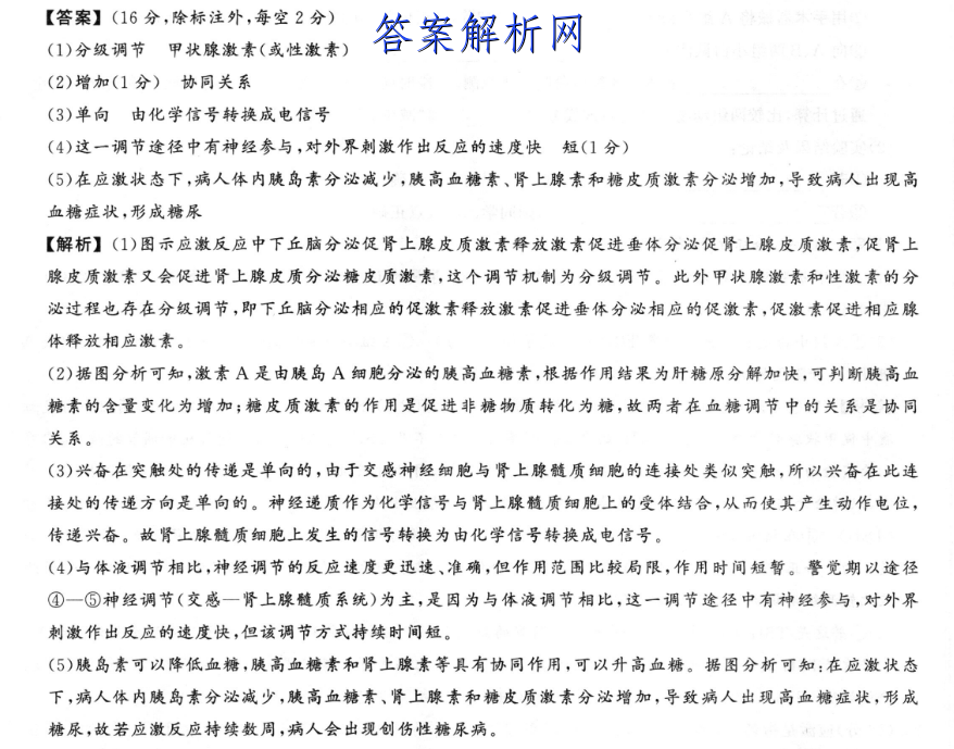 衡水金卷先享题 2023届调研卷 语文(全国甲卷)(三)3试题答案 职业教育 第2张
