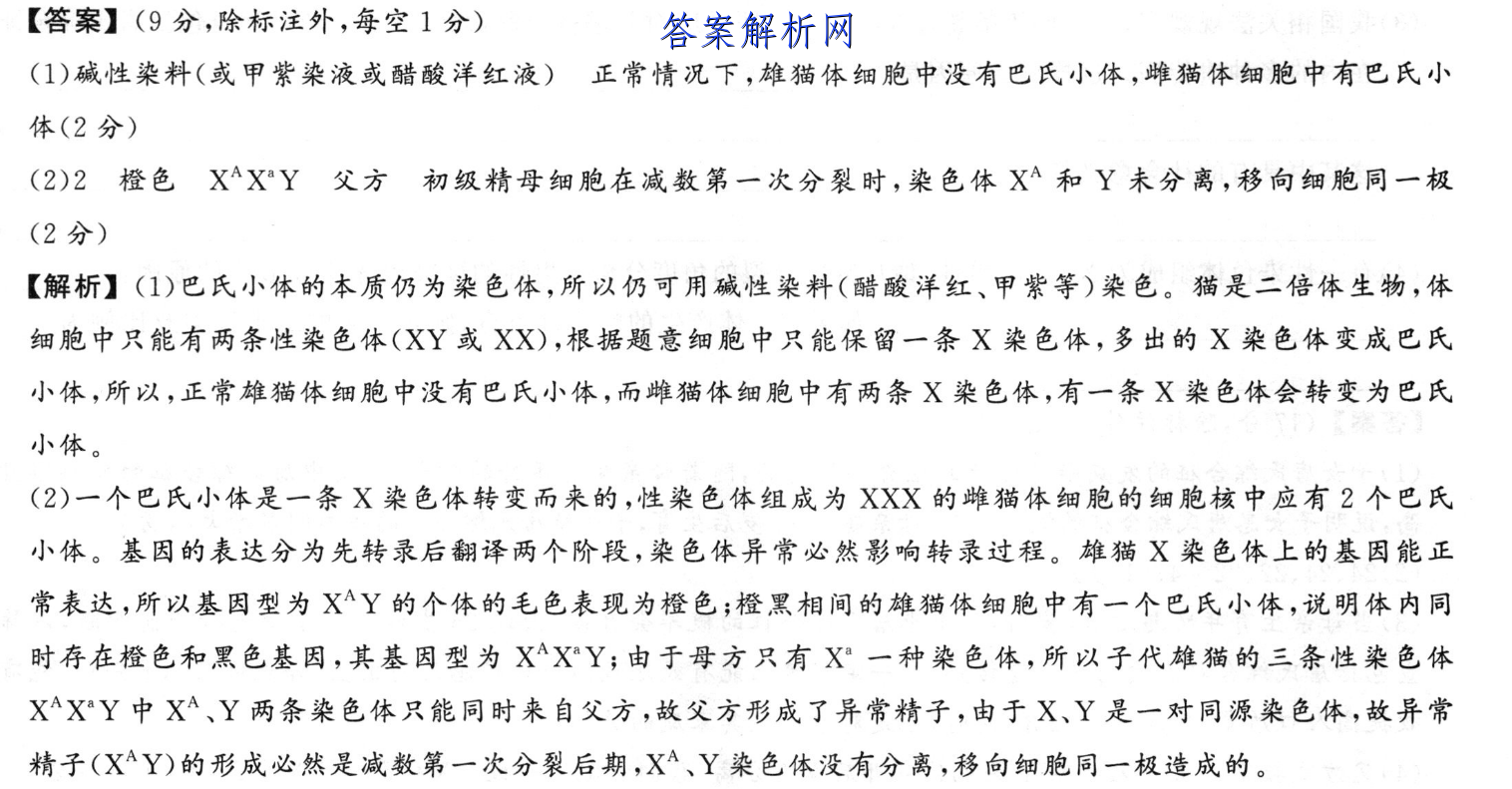衡水金卷先享题 2023届调研卷 语文(新教材YW)(三)3答案 职业教育 第5张