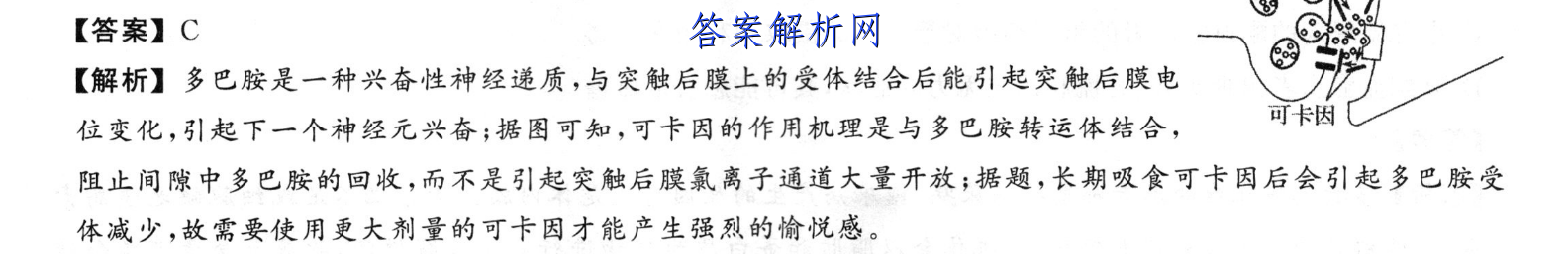 衡水金卷先享题 2023届调研卷 语文(新教材YW)(三)3试题答案 职业教育 第3张