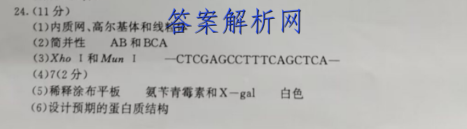 [成都一诊]成都市2020级高中毕业班第一次诊断性检测地理答案 职业教育 第2张