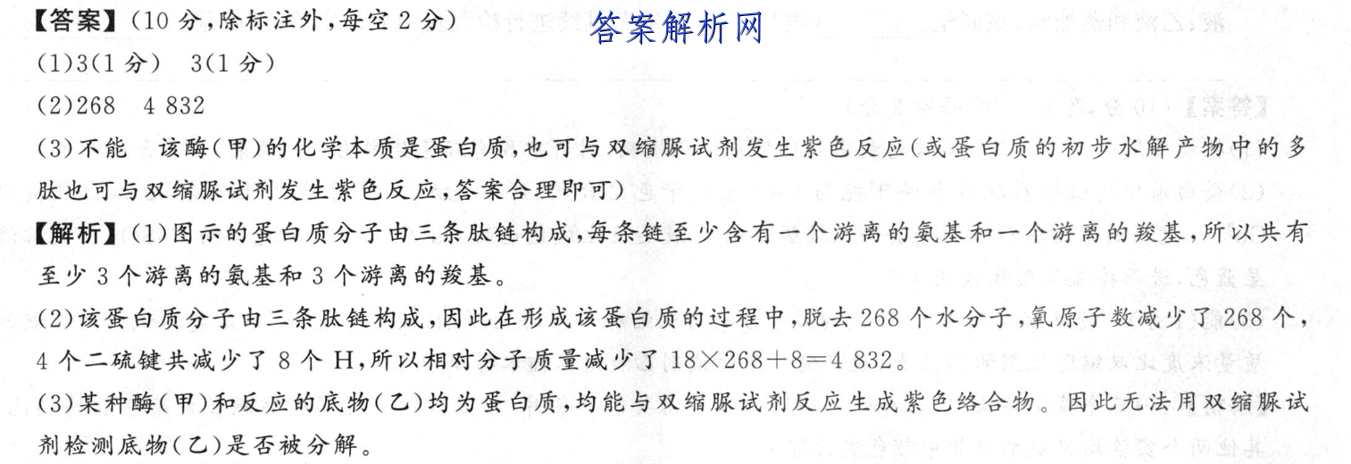 学科网2022年高三12月大联考考后强化卷(新教材)语文试题答案 职业教育 第2张