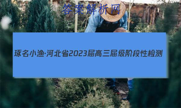 С桤ӱʡ2023켶׶Լ()ͼƬ