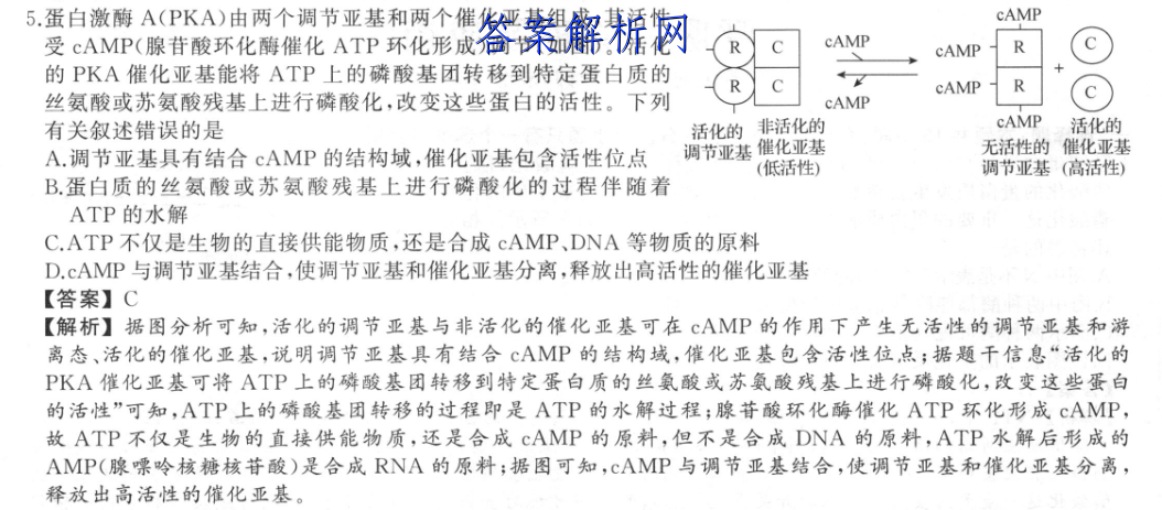 image.png@!test