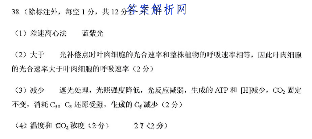 2023届衡水金卷先享题 压轴卷 新高考/新教材 英语(一)1试题答案 职业教育 第2张
