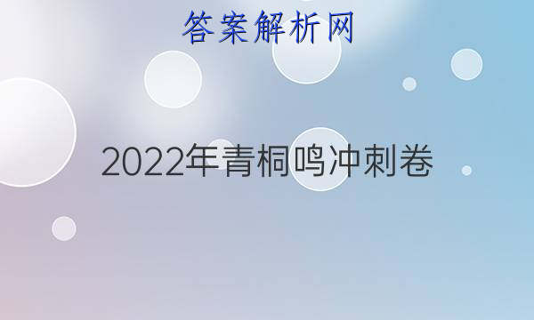 2022年青桐鸣冲刺卷三3文科数学试题答案