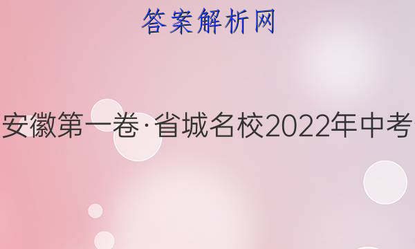 皖智教育安徽第一卷省城名校2022年中考最后三模一1数学答案